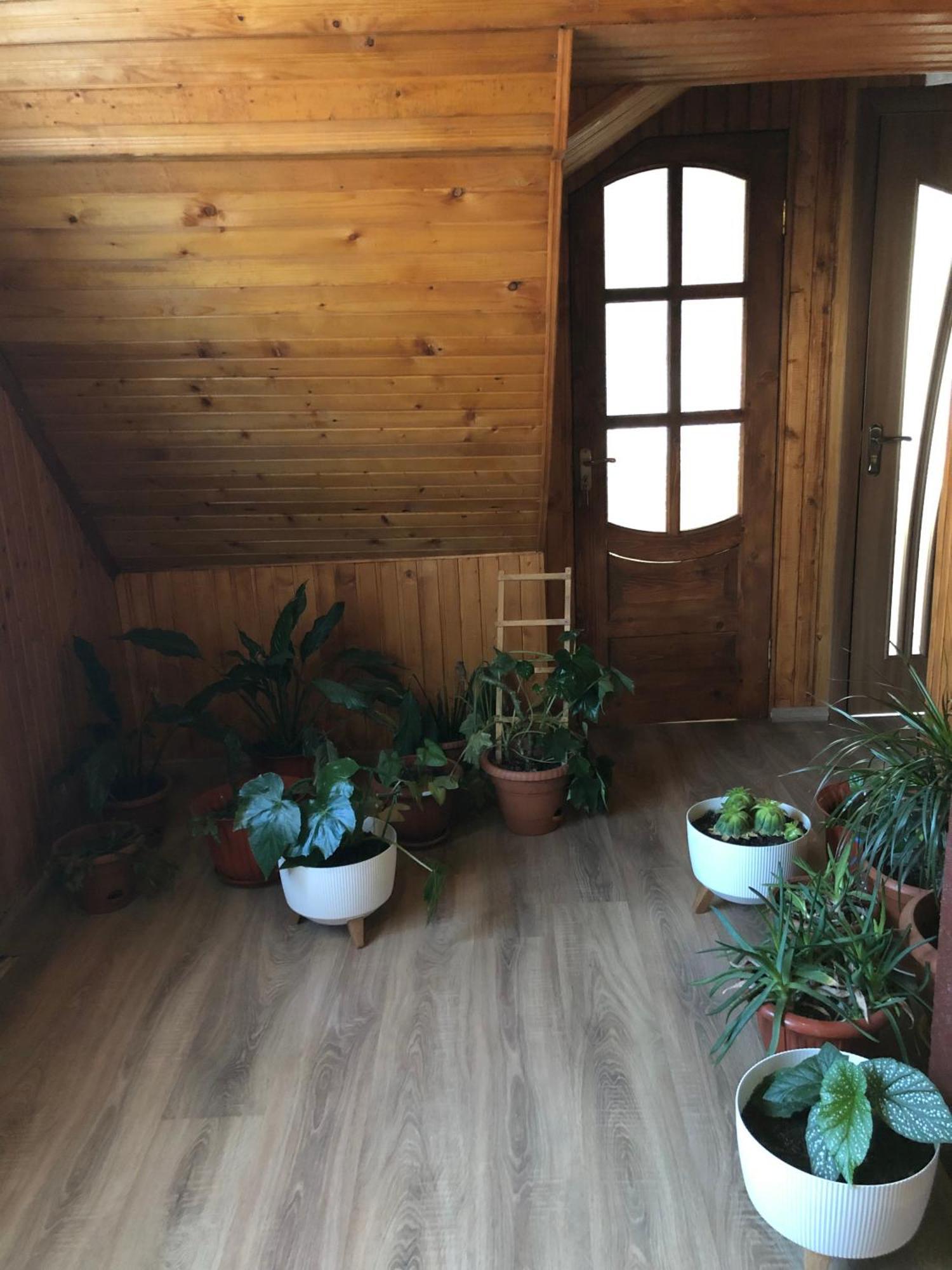 House Mold Βίλα Lazeshchyna Εξωτερικό φωτογραφία
